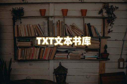TXT文本书库
